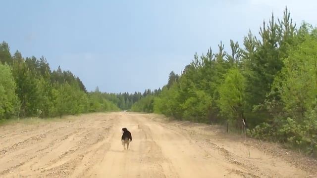 Летняя нагонка смотреть онлайн