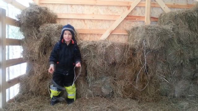 Ферма Тимофея. Рассказ про сено хранилище смотреть онлайн