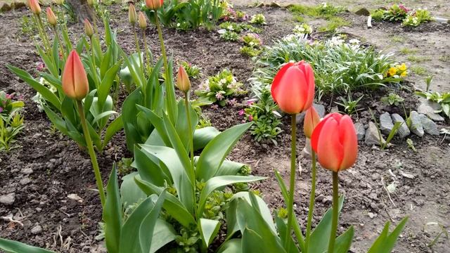 Юглон. Не так страшен чёрт, как его малюют. смотреть онлайн