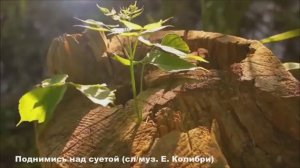 Поднимись над суетой! Не занимайся ерундой! Жизнеутверждающая песня! (Елена Колибри)