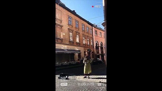 Василь Симоненко. "Ти спішила од мене..."
