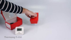 Терморегулятор Thermoreg TI-950