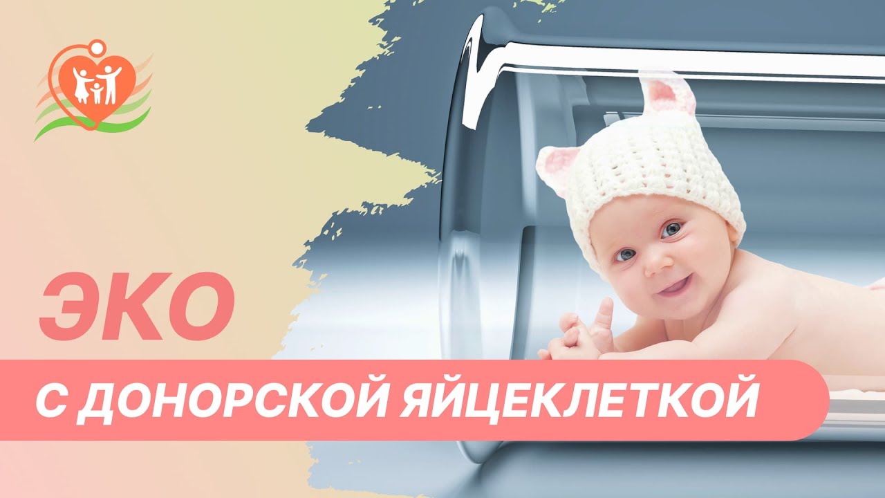 ? ЭКО с донорской яйцеклеткой