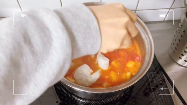 SUBTokyo Vlog_Special Life in Tokyo