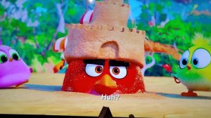 Red, Chuck, Bomb, Blues, Matilda, Hal, Terence, Bubbles and Stella in The Angry Birds Movie 2