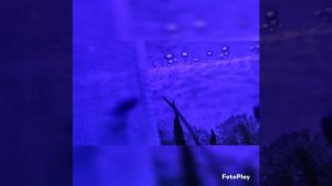 Aquael Leddy tube Sunny Day&Night 7W?