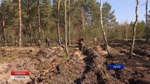 Минлесхоз подвел итоги республиканского соревнования среди лесных хозяйств