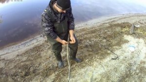 Как поставить тычку для ловли Налима