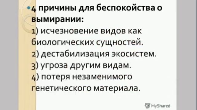Мир прекрасный, мир живой.  Родниковская детская библиотека смотреть онлайн