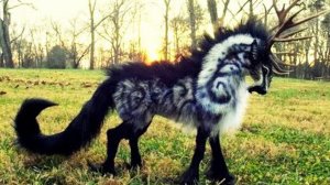 5 Существ, Которые Выглядят как не с Нашей Планеты