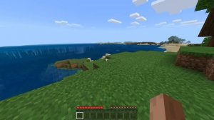 MINECRAFT POCKET EDITION VS MINECRAFT JAVA EDITION | MCPE VS MINECRAFT