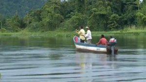 Охота на папуанского луциана / Contact, avec des poissons lеgendaires (Западная Папуа)?