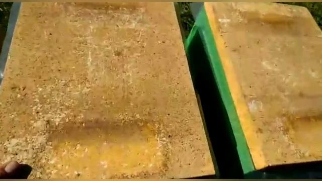 Масштабный Эксперимент. Зимовка Пчёл.Часть 5.