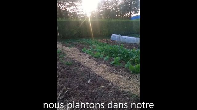Jardin dans la Somme 2014(1ère partie) d'abord un jardin traditionnel puis début de permaculture. смотреть онлайн