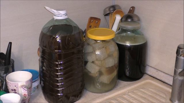 Квас в домашних условиях из магазинной закваски