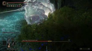 Elden ring Пещера призывателя душ Spiritcaller's Cave