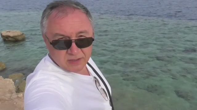 Скат Красного моря