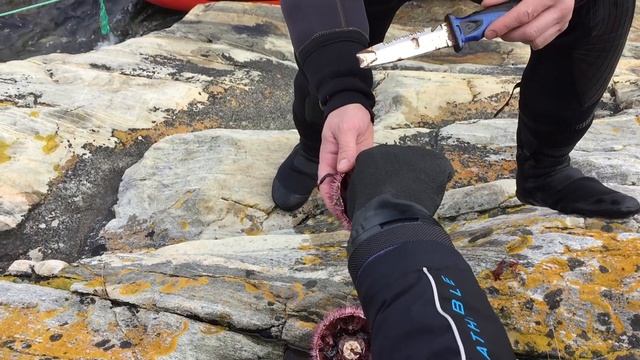 Дальняя Титовка 2018, дайвинг, рыбалка смотреть онлайн