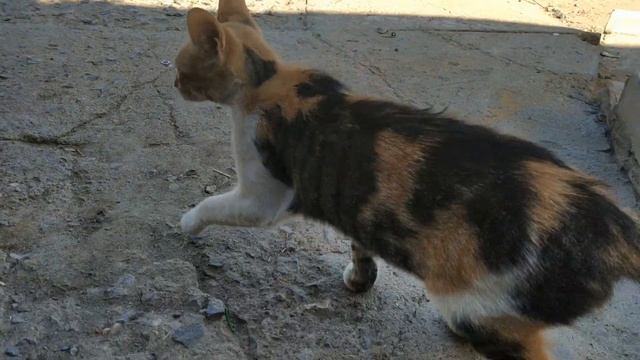 Фаркоп на скутер?своими руками?легко? смотреть онлайн