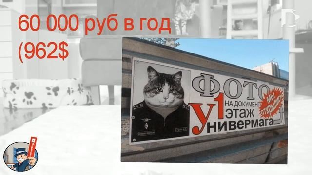 Разведение бенгальских кошек