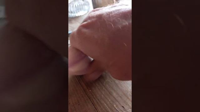 Какие лучше брать семена чеснока
