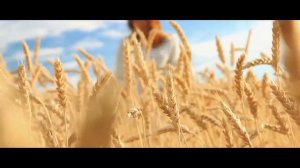 Мы с тобой одинокие берега - You and me , are lonely shores..