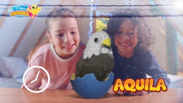 EGGY ANIMALS BIRDS - SBABAM смотреть онлайн