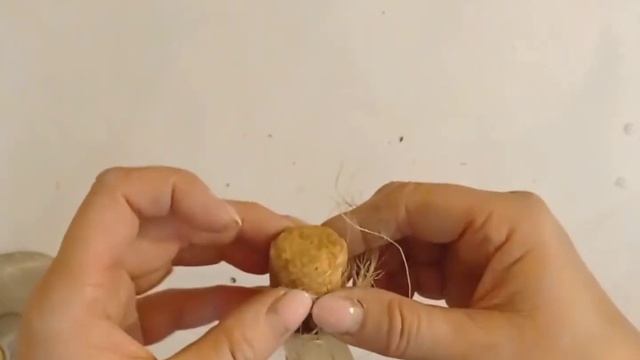 Декоративные домики кормушки для птиц из винных пробок /весенний, пасхальный декор/ поделки /