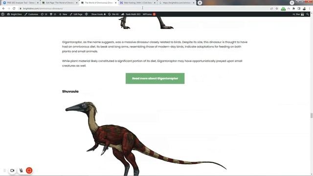 Free SEO Check & Fix for Your WordPress Site (Tutorial)