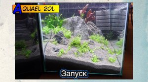 Запуск аквариума AquaEl 20l ● Акваскейп