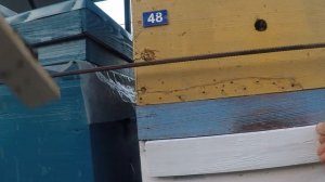 Перевозка пчел Крепление ульев при перевозке Вентиляция улья