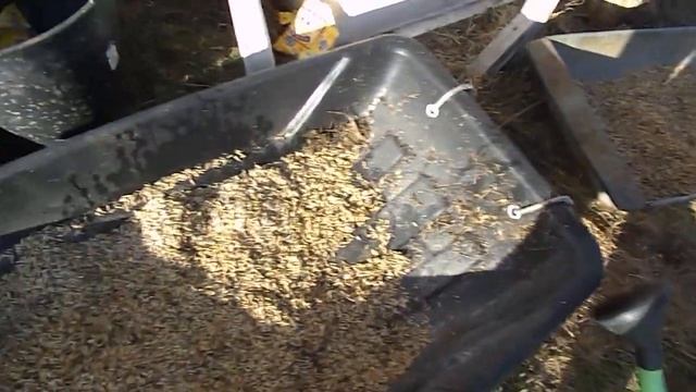 Как быстро проглистогонить овец.... смотреть онлайн