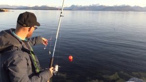 Рыбалка в Норвегии! Рыбалка с берега!! И такое бывает!! Норвегия! Осень 2019!!