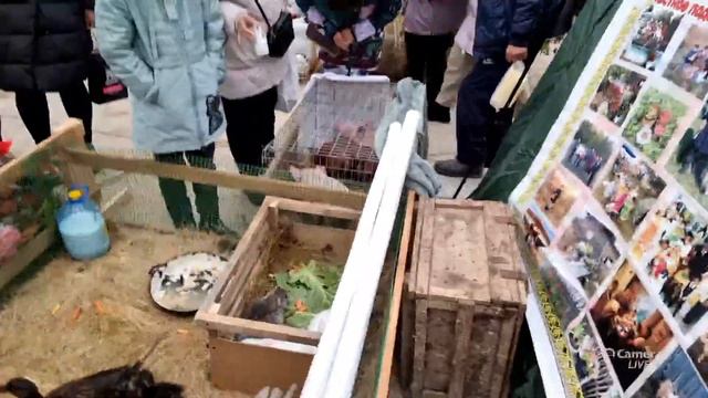 Якутия,выставка - ярмарка "Продовольствие 2022" смотреть онлайн