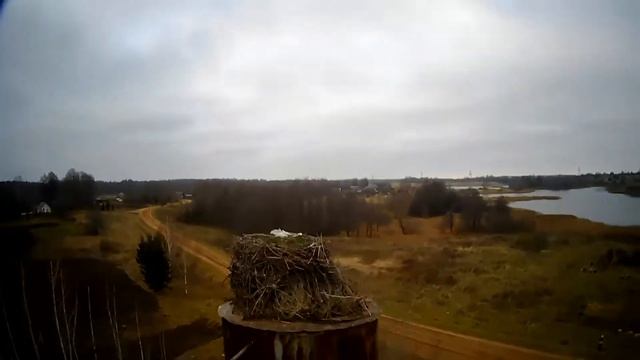 Бурый Медведь заимел квадрокоптер смотреть онлайн