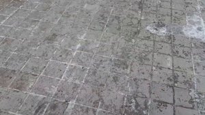Щенок пуделя  Макс учит команду Ко мне на улице. 5 месяцев нам.