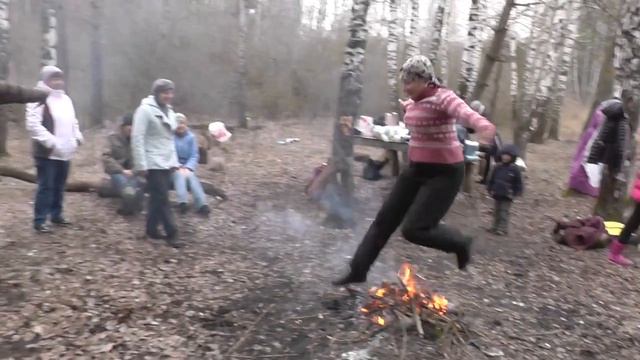 Стриж в полете смотреть онлайн