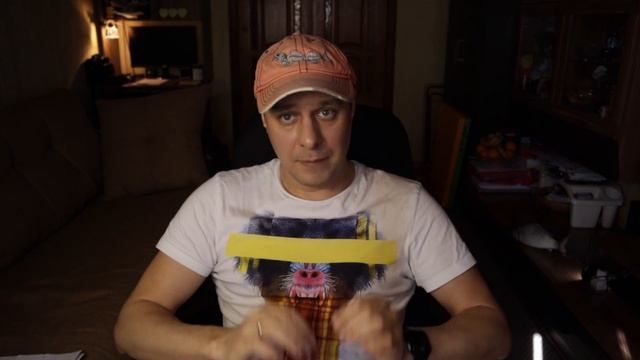 МИФЫ о ЛАБРАДОРАХ. Лабрадор Ретривер во всём Разберется!