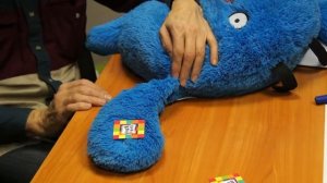 Архикард.  Измеряем всё вокруг