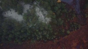 Сургутский район, ХМАО-ЮГРА. 2021 год.