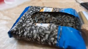 P АТБ Семечки подсолнечника соленые Sunflower seeds salted куплено в Украине Ukraine 20201028