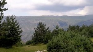 Арчинский лес, Арчо, Ахвахский район , Дагестан