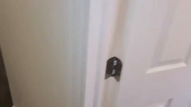 Apartment for rent: in Philadelphia 1BR 1Bath by TrustArt Realty Philadelphia Property Management