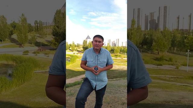 Характер знака Близнецы