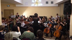 Деревенские музыканты (Жанна Металлиди) - Камерный оркестр - Людмила Рогова