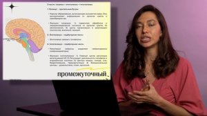 ЕГЭ Биология. Быстро запоминаем все отделы головного мозга за 15 минут. Лайфхак