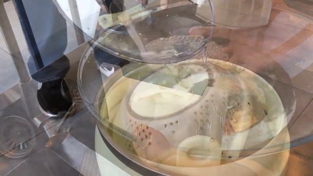 Watch the Drumi in action смотреть онлайн