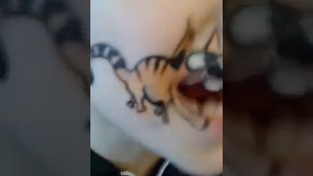 Аквагрим на лице.Рисунок на лице face art смотреть онлайн