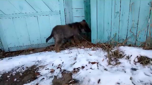Девчёнка в хорошие руки смотреть онлайн