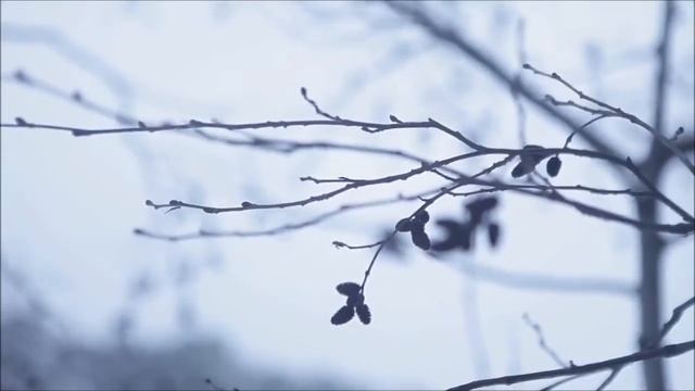 Проект "Поющий Нижнекамск" ²º¹² смотреть онлайн